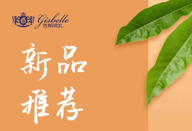 香港内部最准资料中特